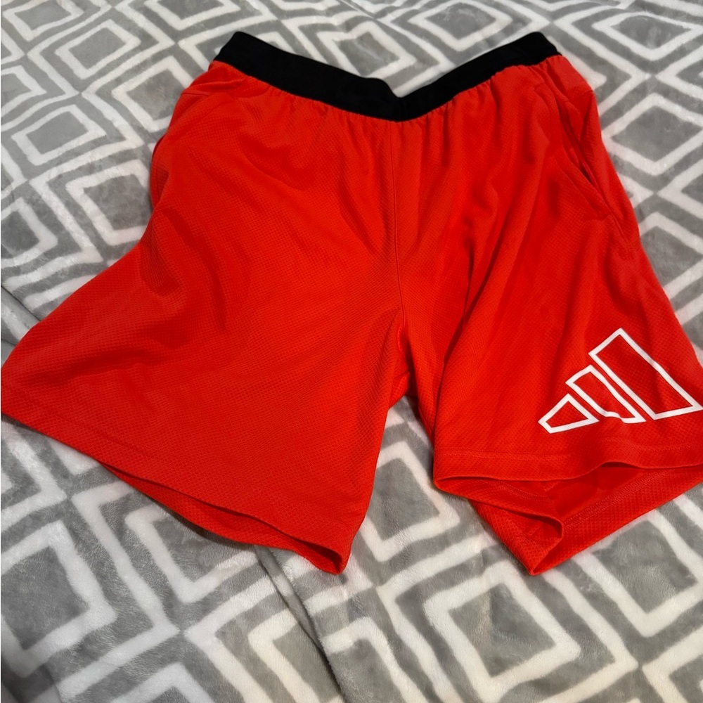 Adidas Men's Red Athletic Shorts